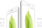 iPhone 6 White